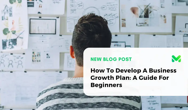 How To Develop A Business Growth Plan: A Guide For Beginners
