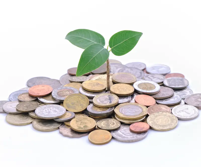 How To Develop A Business Growth Plan: A Guide For Beginners — photo 3