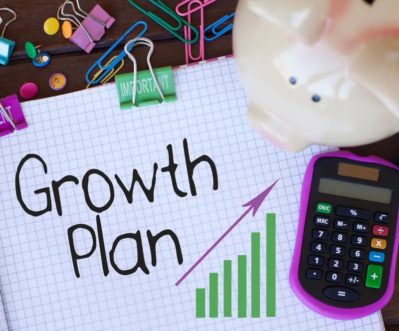 How To Develop A Business Growth Plan: A Guide For Beginners — photo 1