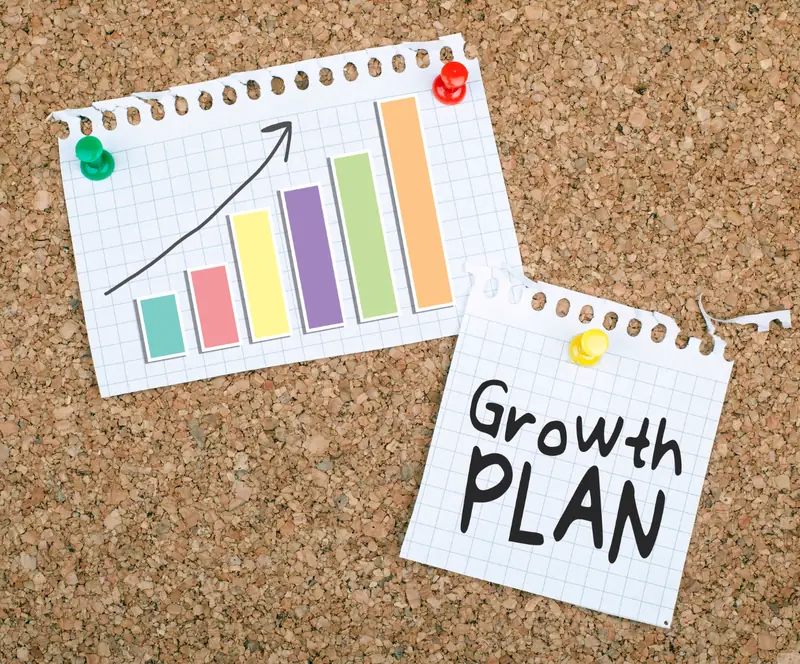 How To Develop A Business Growth Plan: A Guide For Beginners — photo 2