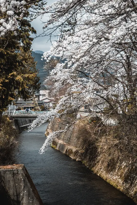 All About Peak Seasons