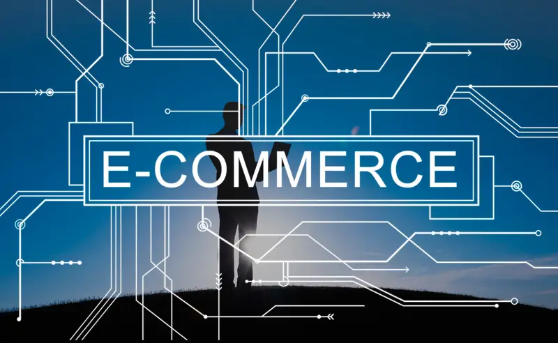 An Overview of the Different Types of Ecommerce Businesses Models