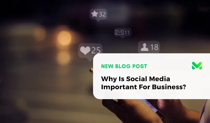 Why Is Social Media Important For Business?
