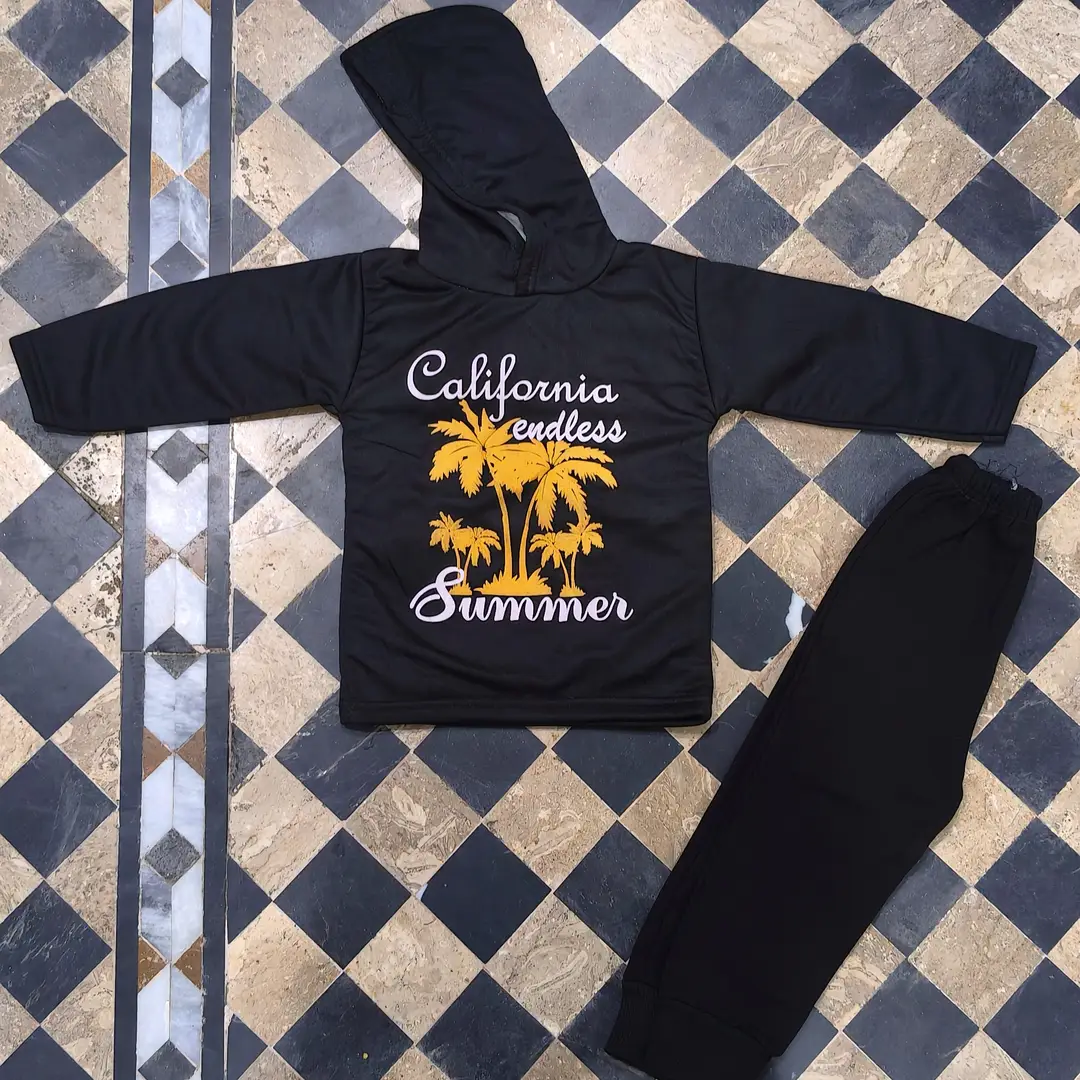 Winter 2 Pcs Boy's Fleece Printed Hoodie Tracksuit