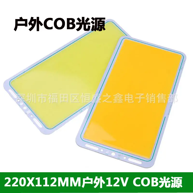 Outdoor COB Light Panel 220x112mm 12V Pakistan