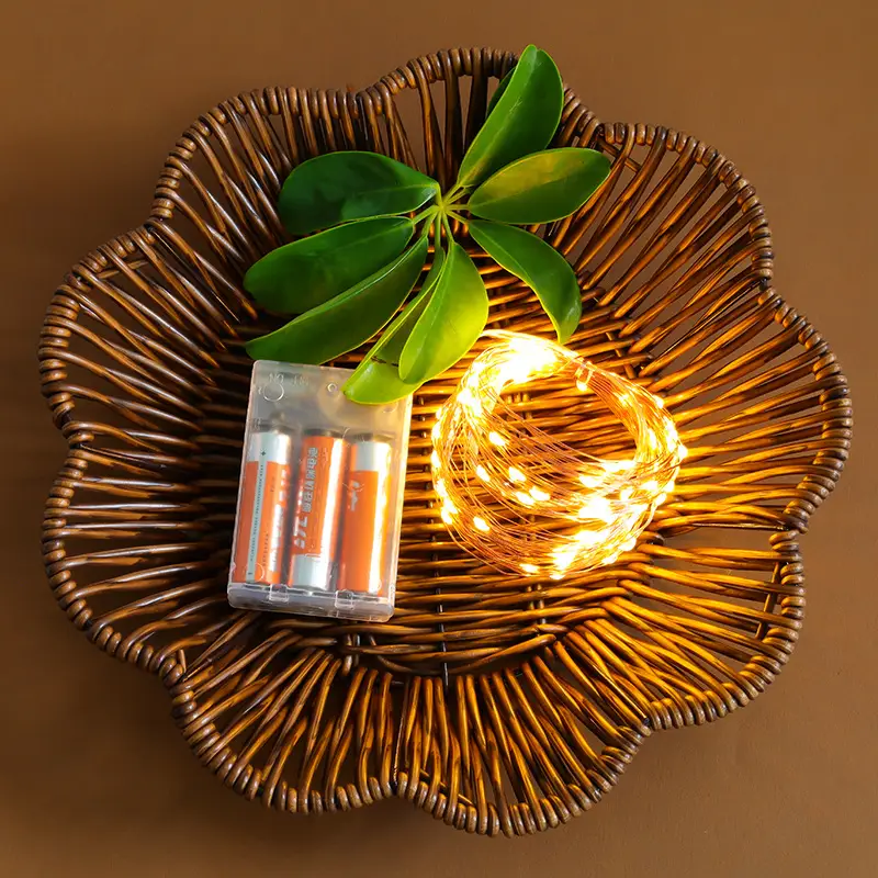 Copper String Lights for Home & Events, No Plug, Warm LED, 3AA Battery