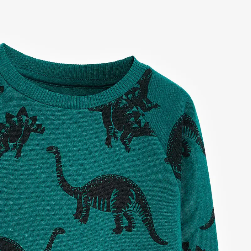 Green Dinosaur Print Sweatshirt for Kids Autumn 2024