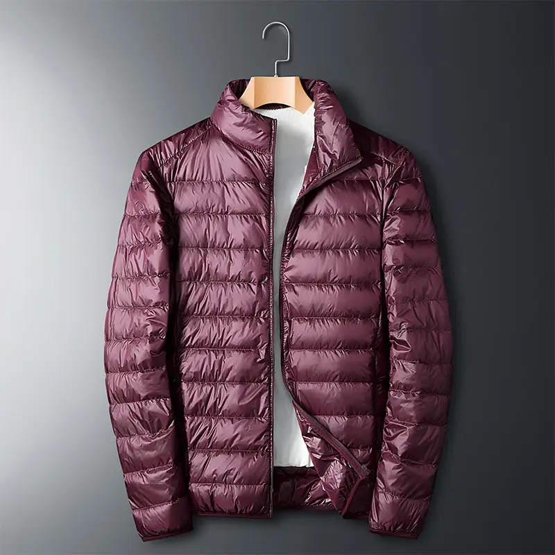 Men's Lightweight Down Jacket Grey Zippered Winter