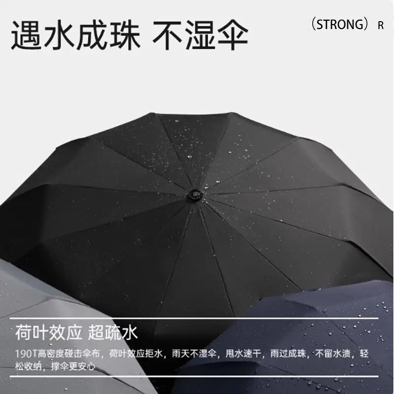 Fully Automatic Sun & Rain Umbrella UPF50+ 12 Bone