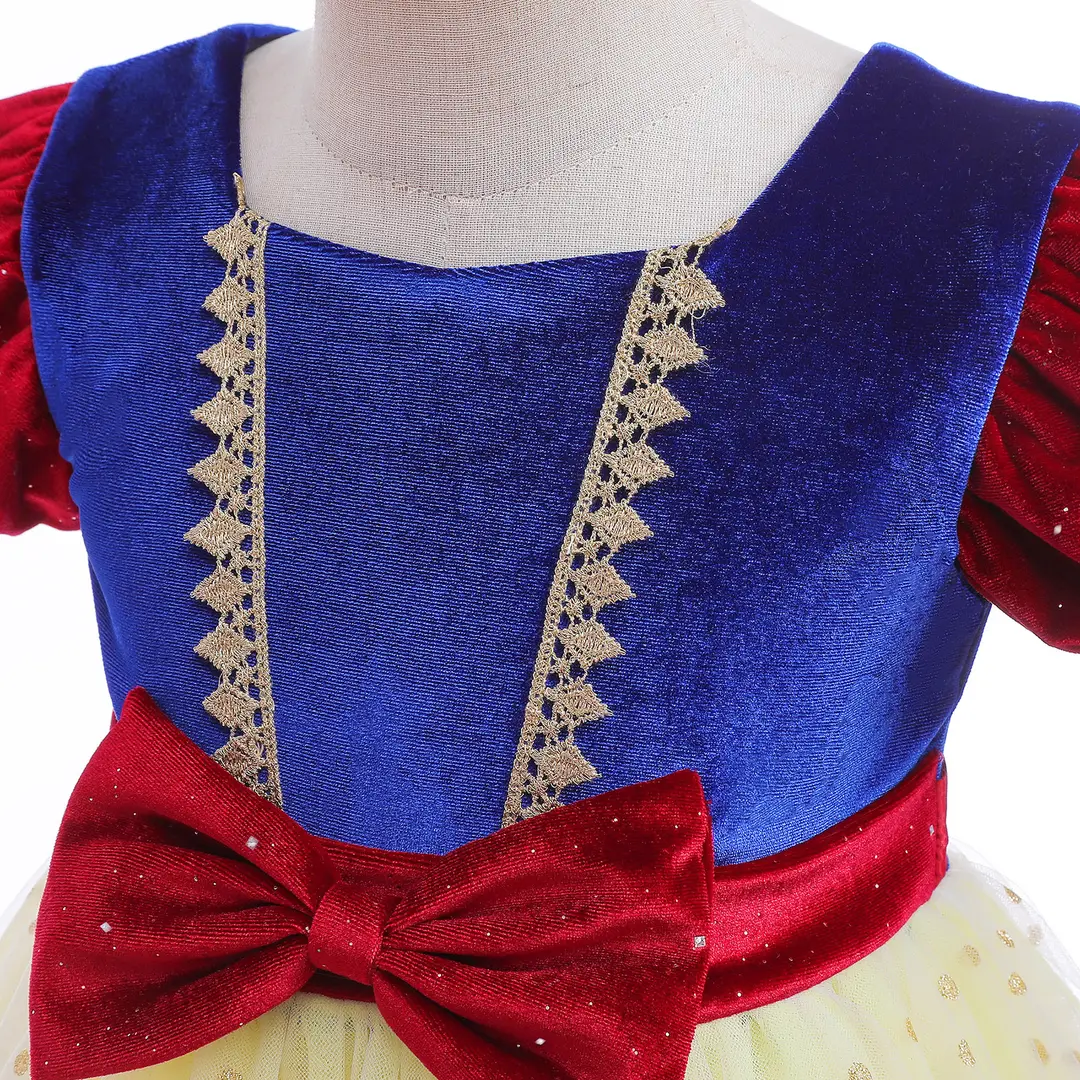 Royal Blue Velvet Princess Dress with Golden Embroidered Skirt