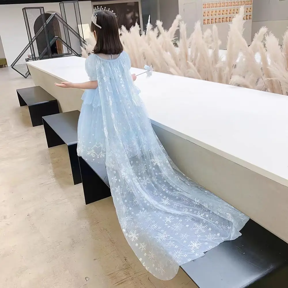 Elsa Princess Blue Dress for Girls 3-6 Years