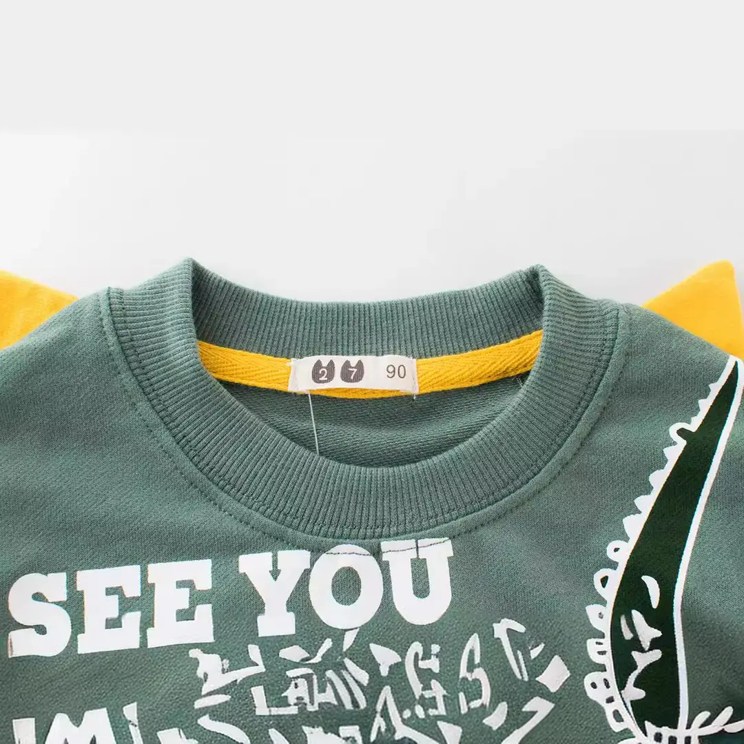 Boys Autumn Graphic Sweatshirt Green Alligator Design