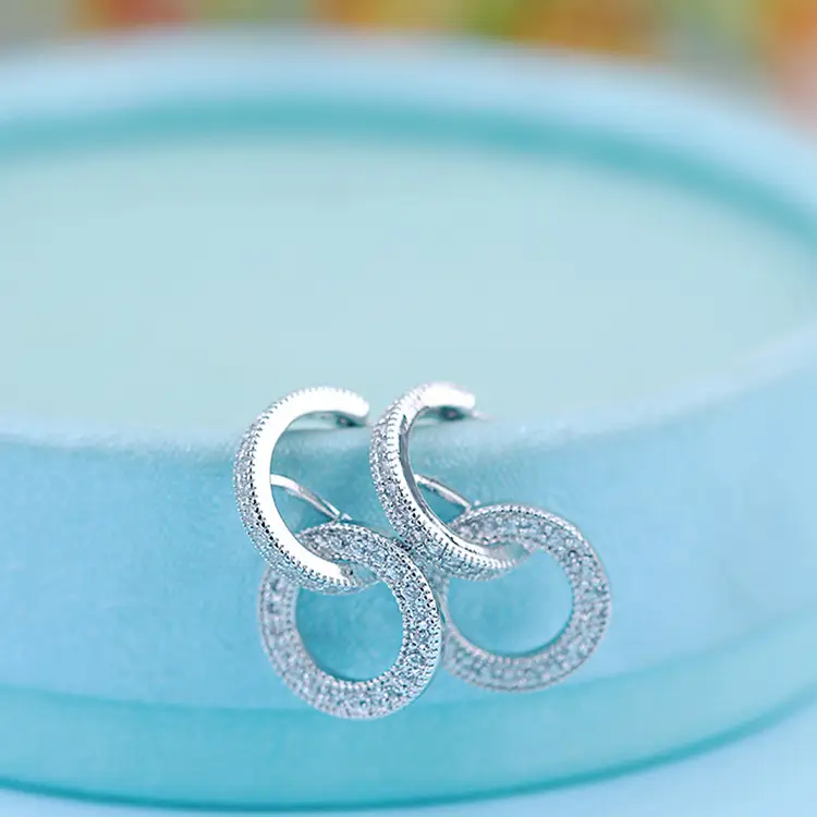 Elegant Circle Zircon Earrings S925 Silver
