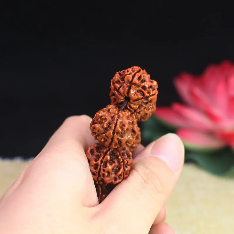 Rudraksha Bracelet Natural Five-Petal Brown