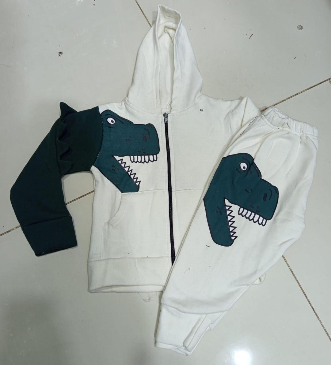 Adorable Boy's Printed Fleece Zipper Tracksuit - 2 Pcs Set