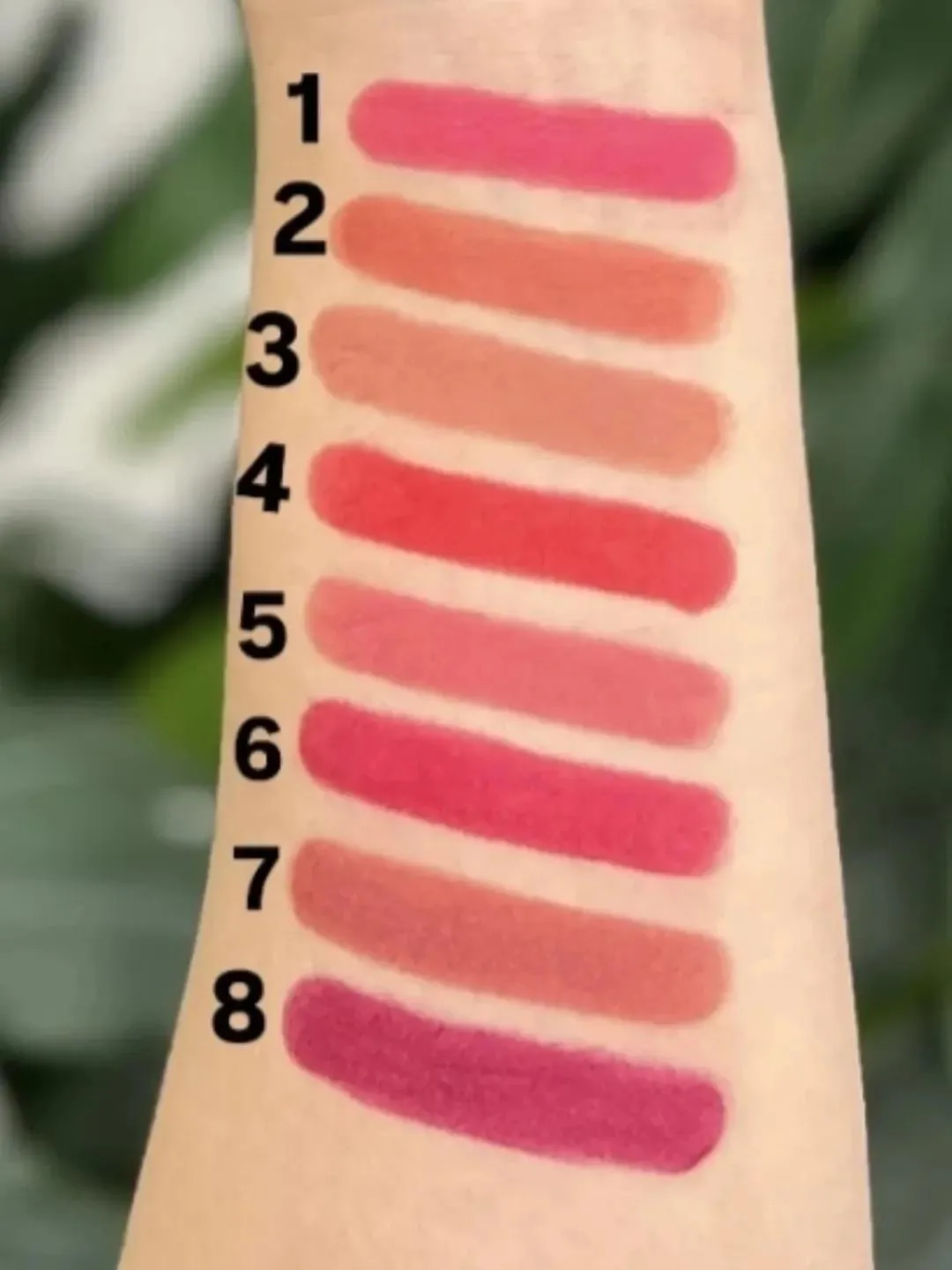 High Pigment Velvet Matte Lipstick Pack of 8