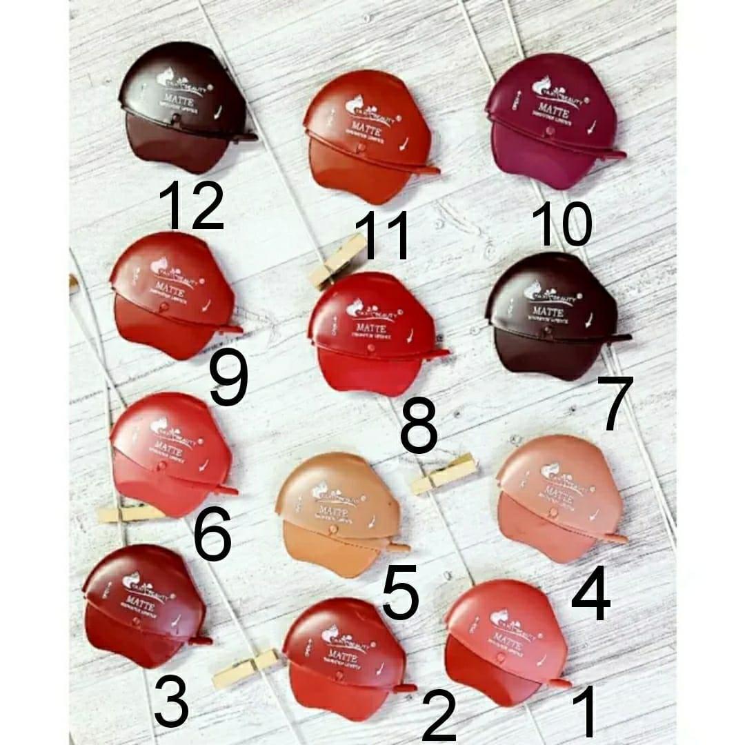 Velvet Matte Lipstick Red Maroon Brown Peach Pink 12 Shades