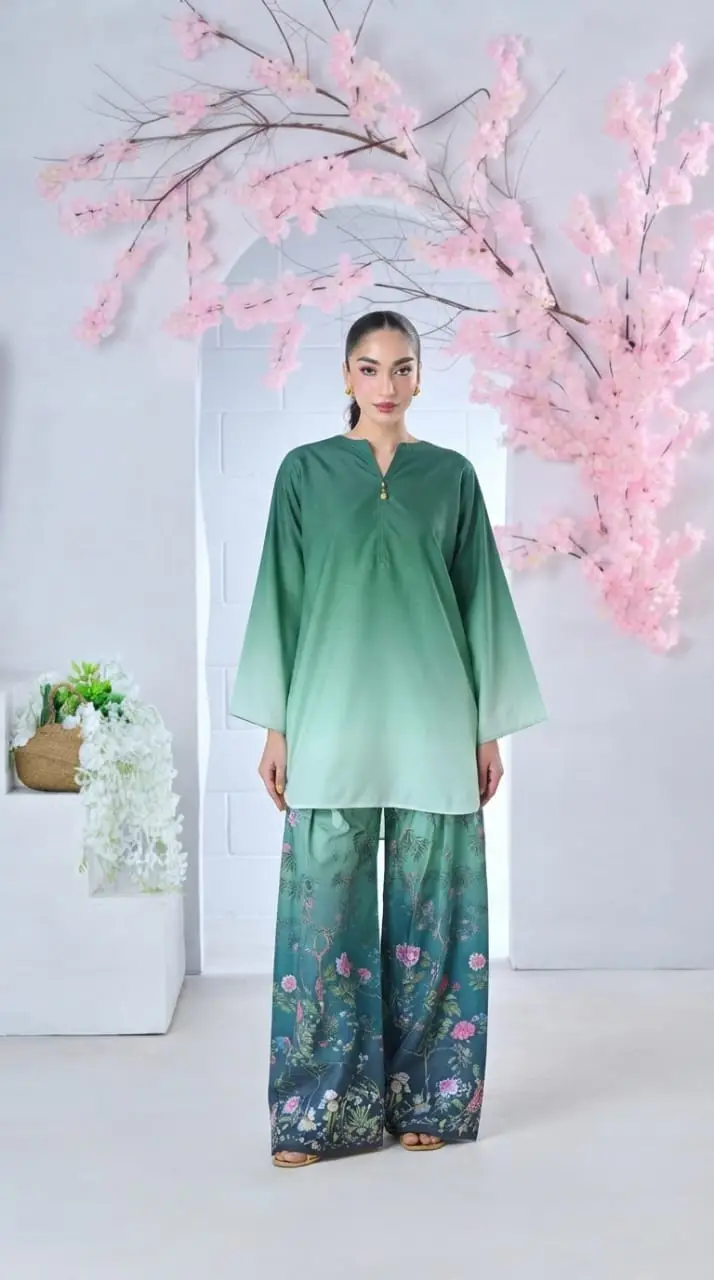 2 Pcs Women's Stitched Lawn Printed Co-Ord Set