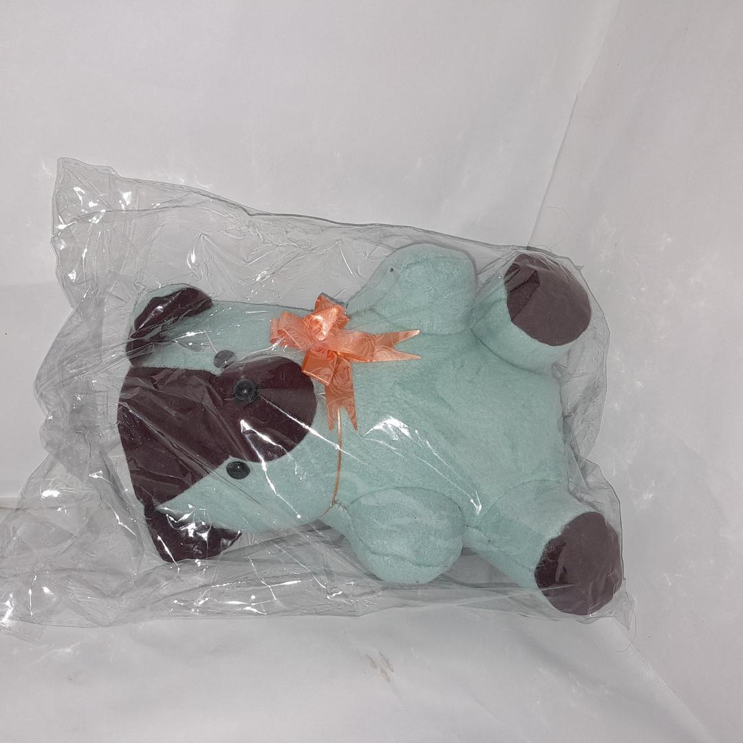 Multi Color Teddy Bear for Kids, Premium Quality, Travel Friendly