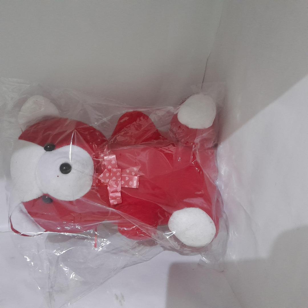 Multi Color Teddy Bear for Kids, Premium Quality, Travel Friendly