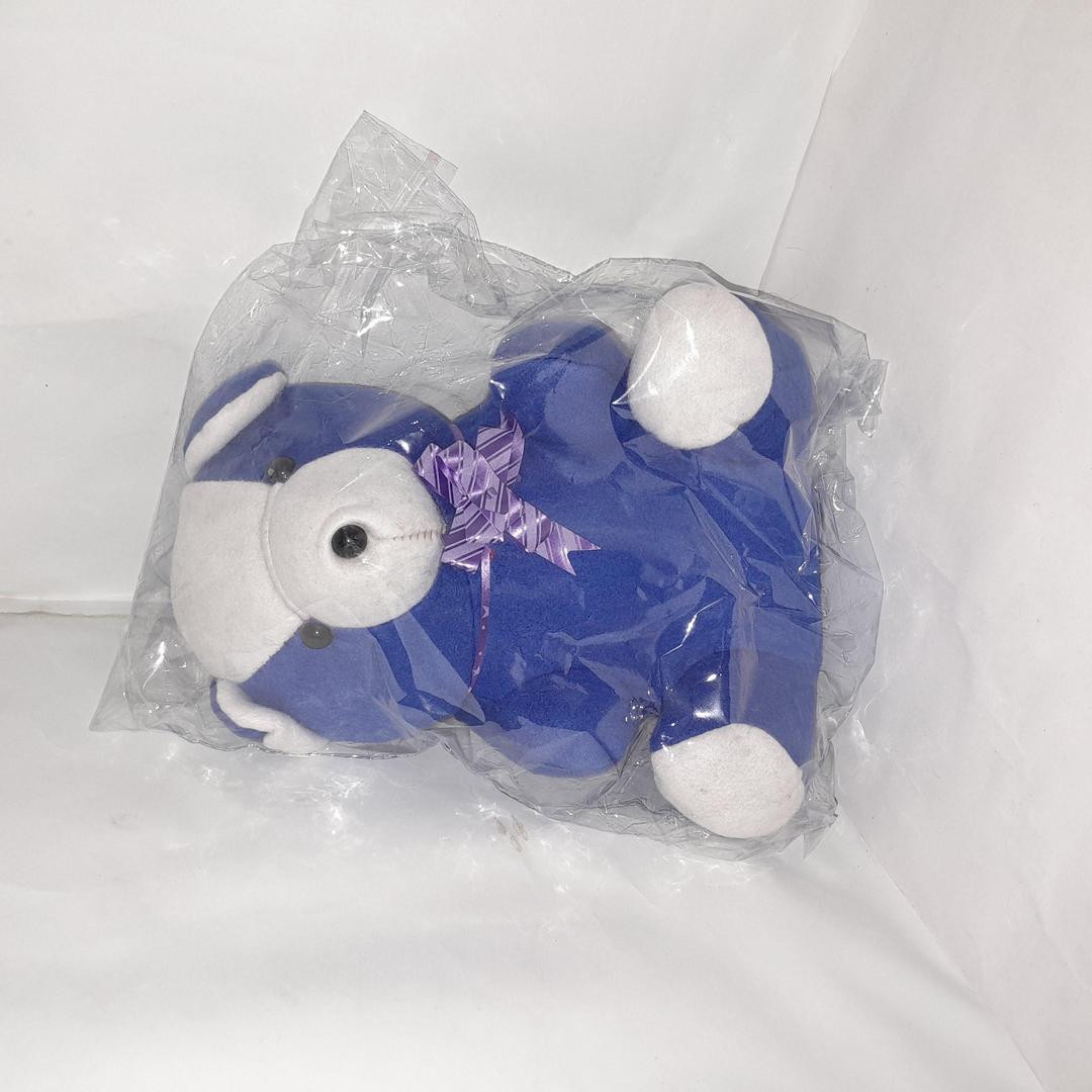 Multi Color Teddy Bear for Kids, Premium Quality, Travel Friendly