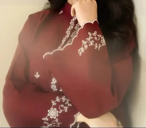 2 Pcs Women's Stitched Chiffon Embroidered Shirt And Trouser