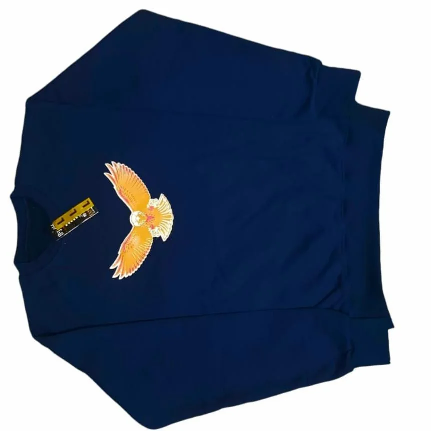 Blue Graphic Sweatshirt Medium Large Fleece