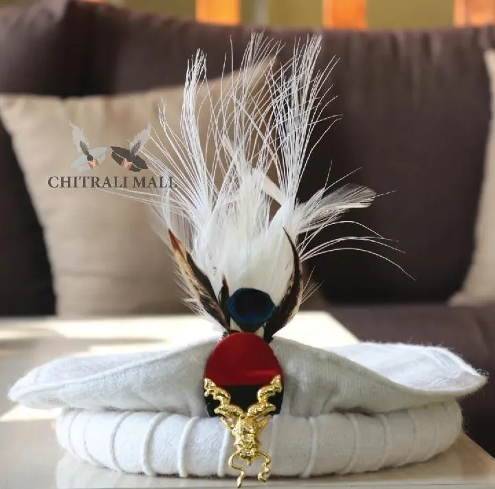 Chitrali Topi Black Wool Winter Hat with Peacock Feather