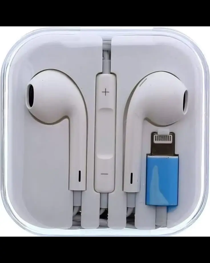 In-built Microphone Wired Earphones Black