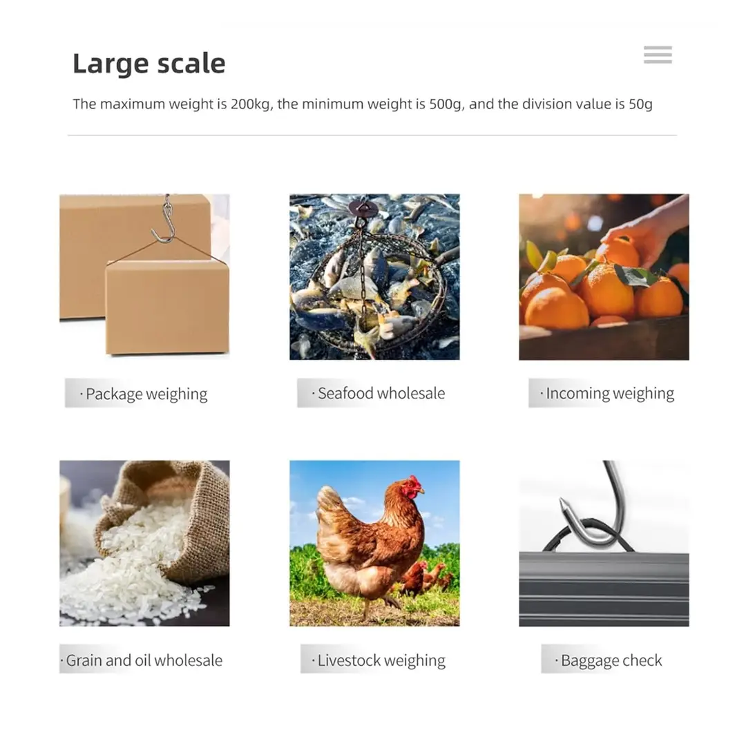 Portable Crane Scale 200kg Weight LED Display Industry Heavy Duty Hanging Hook Scales
