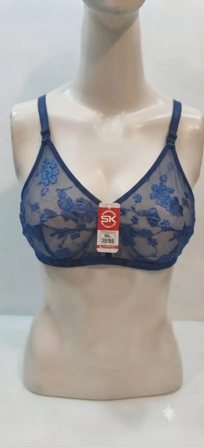 Net Embroidered Light Weight Bra Top