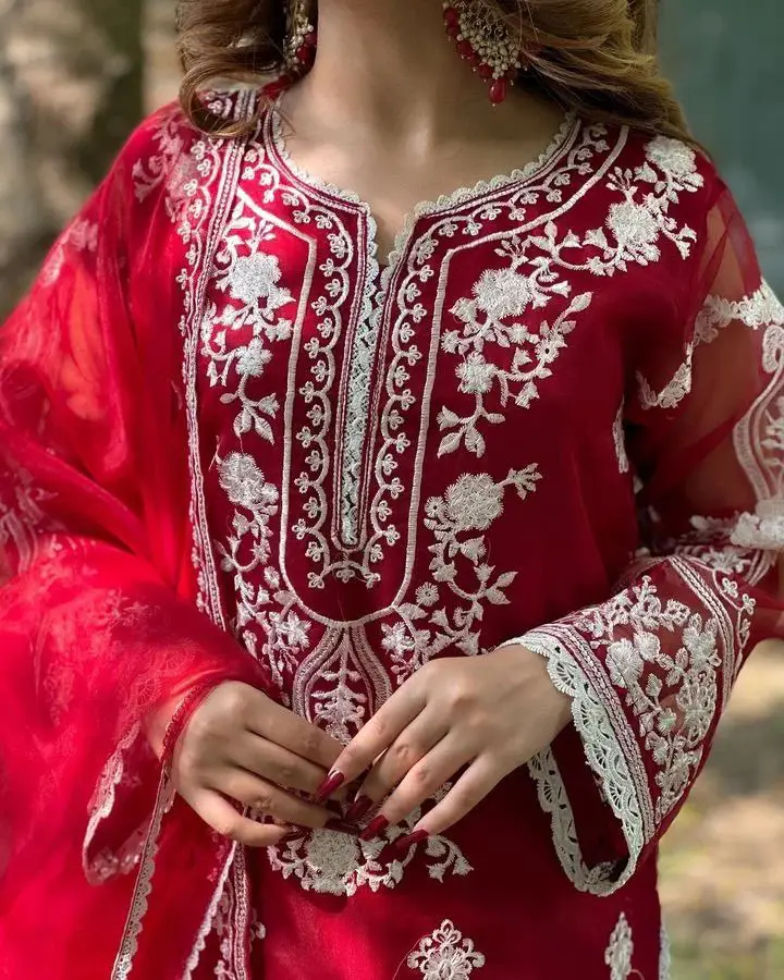 3 Pcs Women's Stitched Organza Embroidered Suit