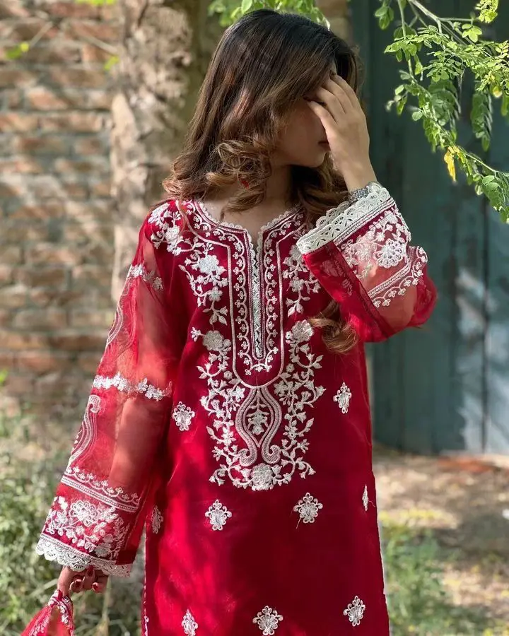 3 Pcs Women's Stitched Organza Embroidered Suit