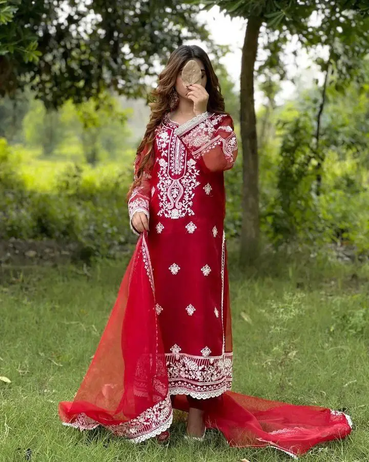 3 Pcs Women's Stitched Organza Embroidered Suit