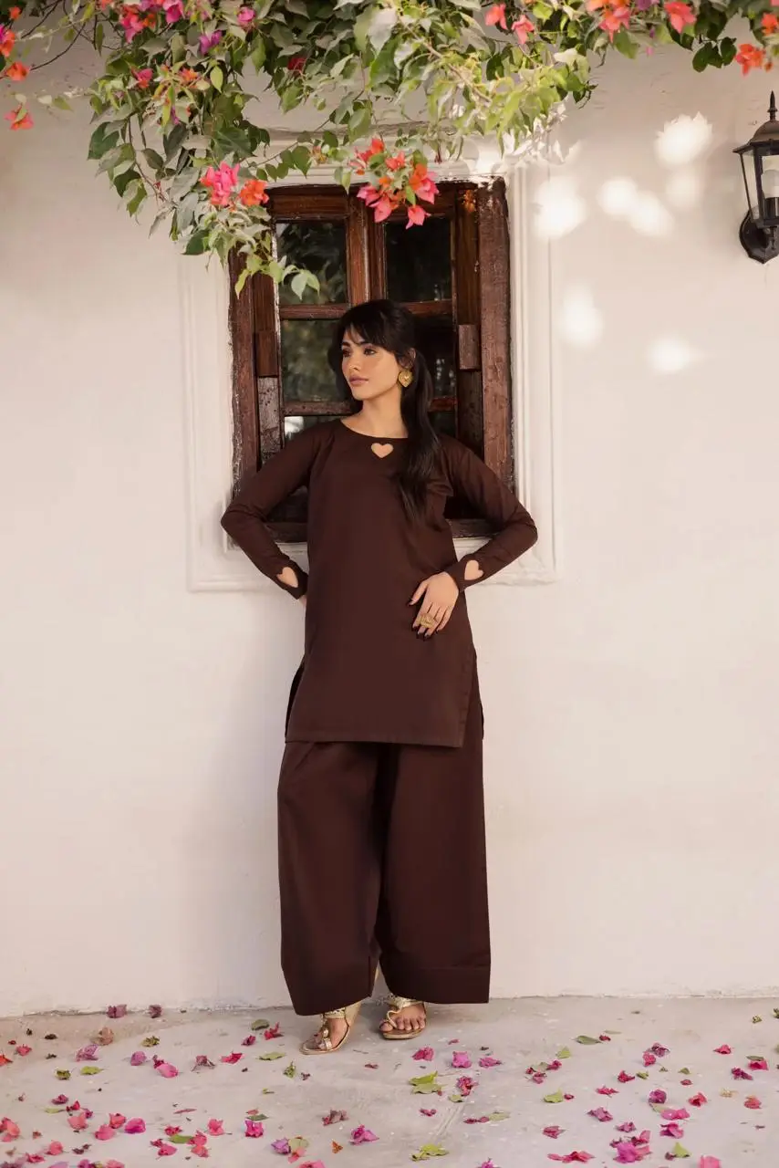 2 Pcs Women's Stitched Georgette Plain Shirt And Trouser