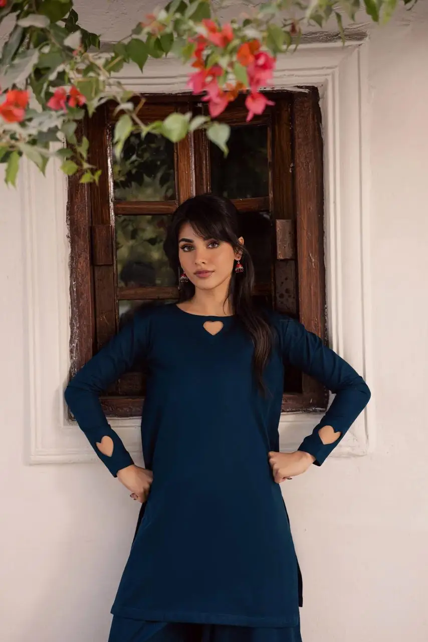 2 Pcs Women's Stitched Georgette Plain Shirt And Trouser