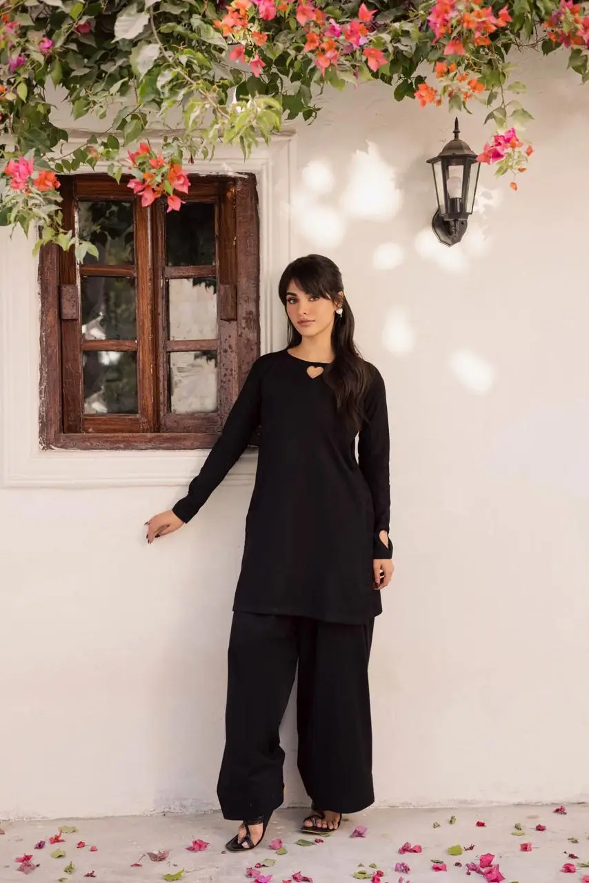 2 Pcs Women's Stitched Georgette Plain Shirt And Trouser