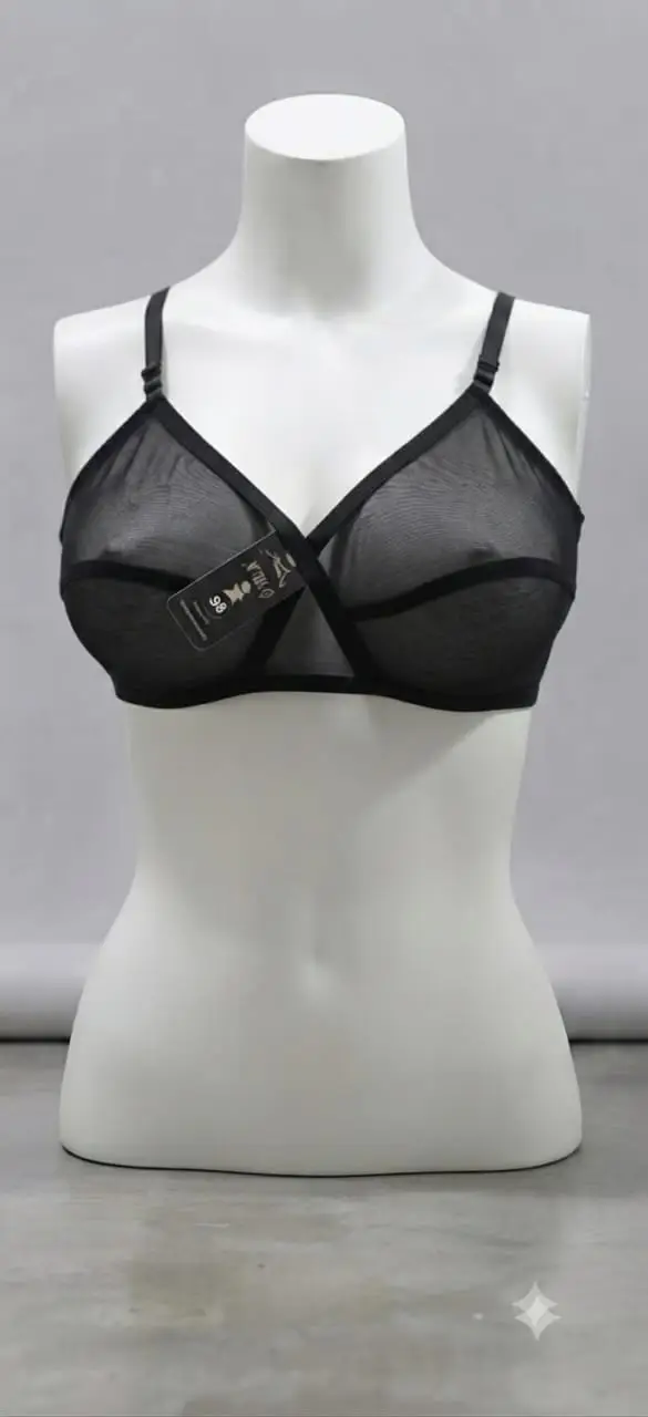 Whimsimart Collection Full Net Bra for Women – Premium Quality Breathable Soft Mesh Bra | Sizes 32-42