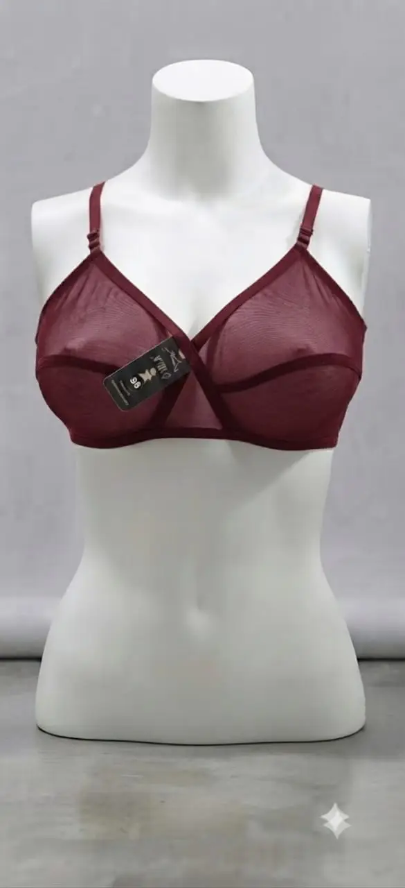 Whimsimart Collection Full Net Bra for Women – Premium Quality Breathable Soft Mesh Bra | Sizes 32-42