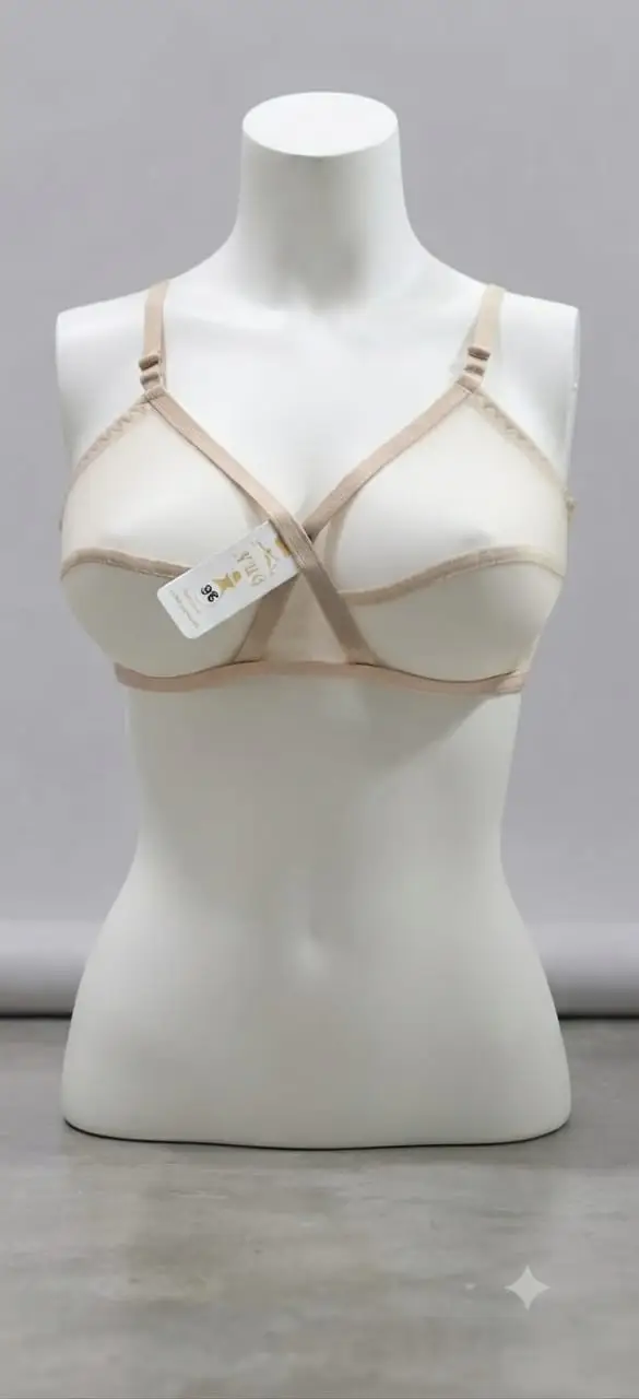 Whimsimart Collection Full Net Bra for Women – Premium Quality Breathable Soft Mesh Bra | Sizes 32-42