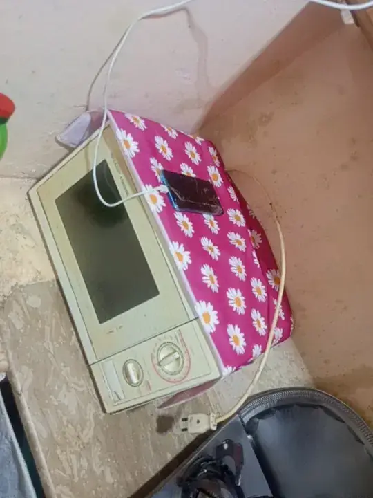 1 Pc Plastic Printed Microwave Oven Cover