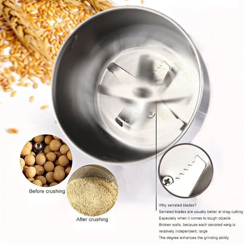 RAF Electric Masala Grinder Machine Stainless Steel Blades