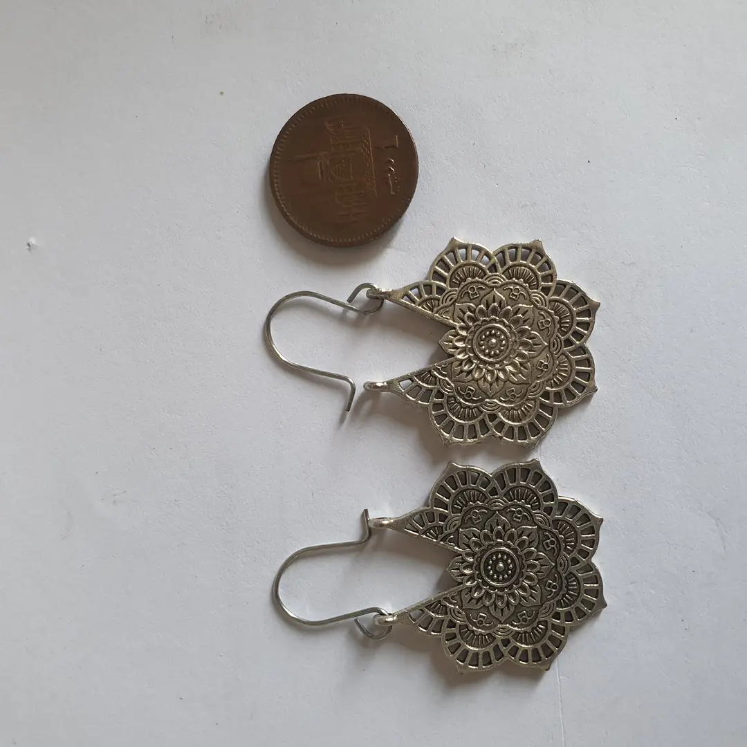Funky Silver Plated Resin Earrings