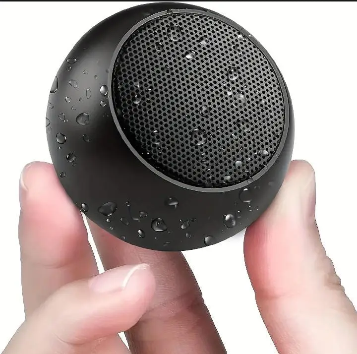 Speaker