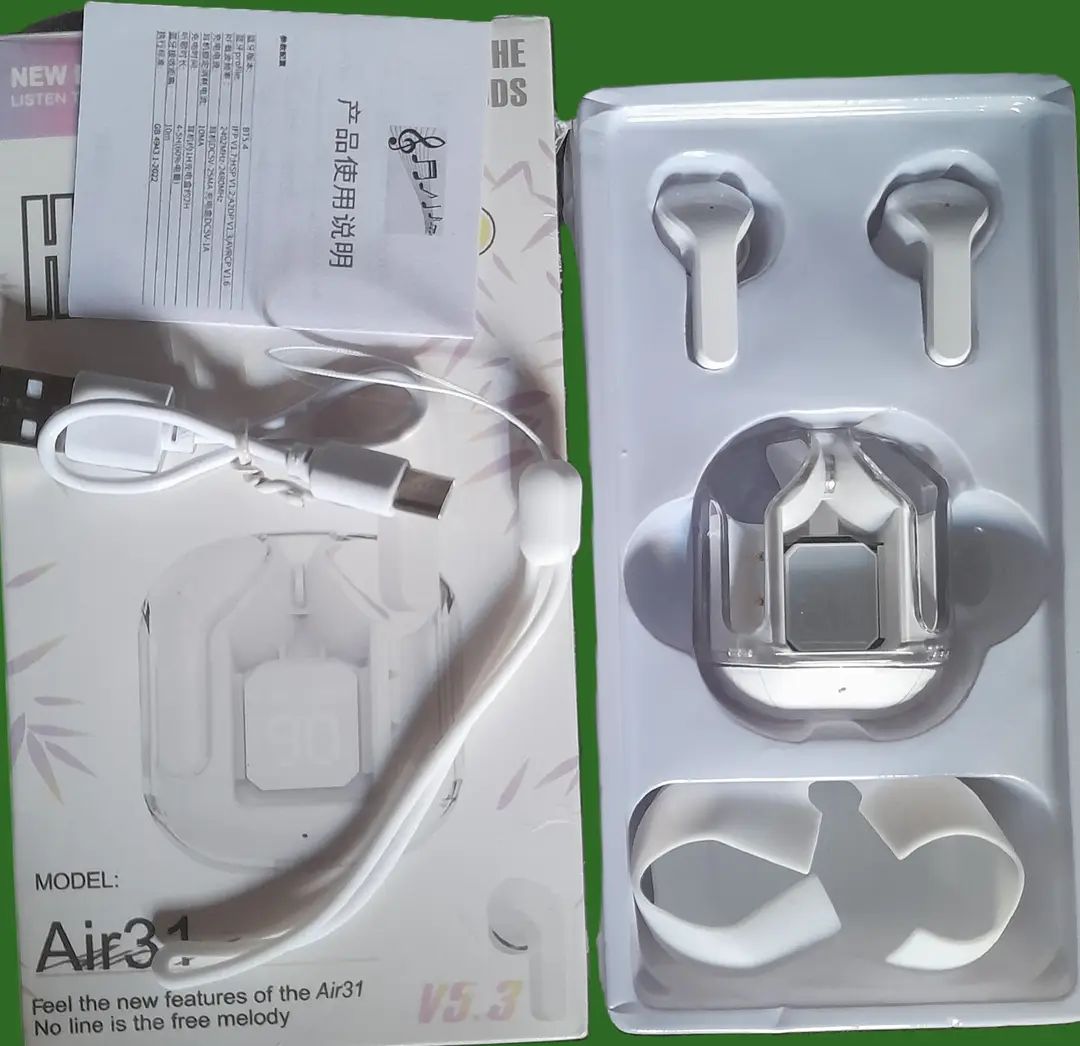 Black Dust, Water & Sweat Proof 31 Earbuds
