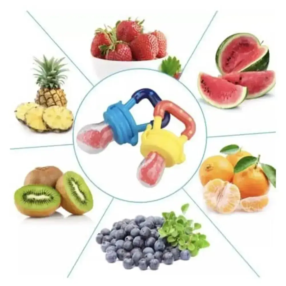 Pack of 2 Baby Fruits Pacifier Food Feeder