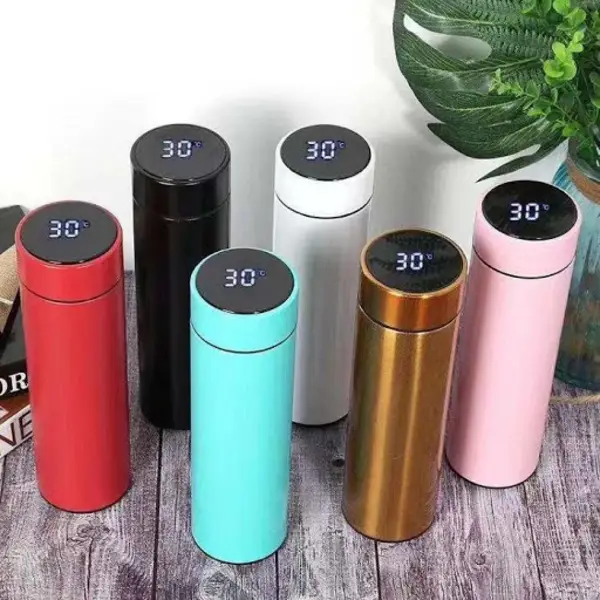 Temperature Display Vacuum Insulated Water Bottle