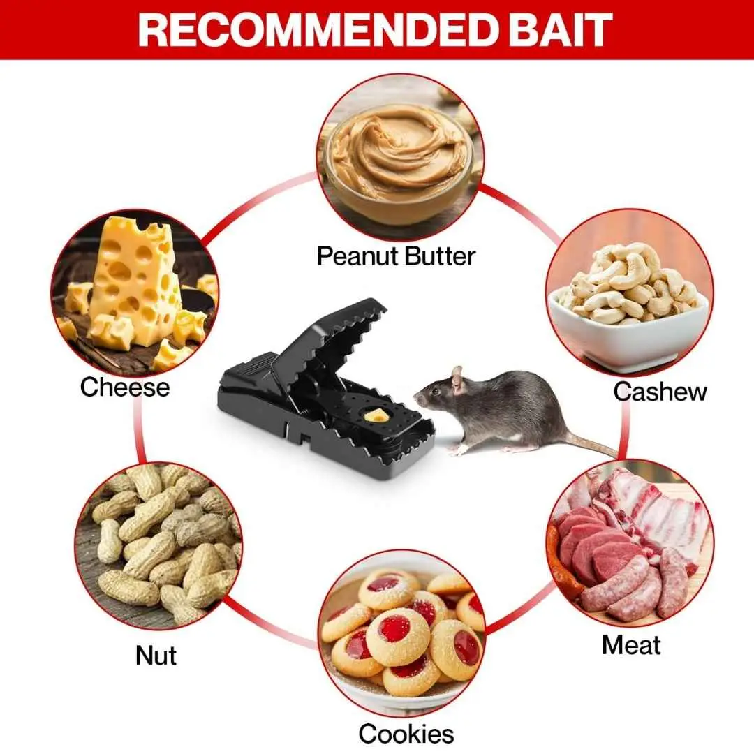 Mouse Trap | High-Quality Plastic Mice Catcher