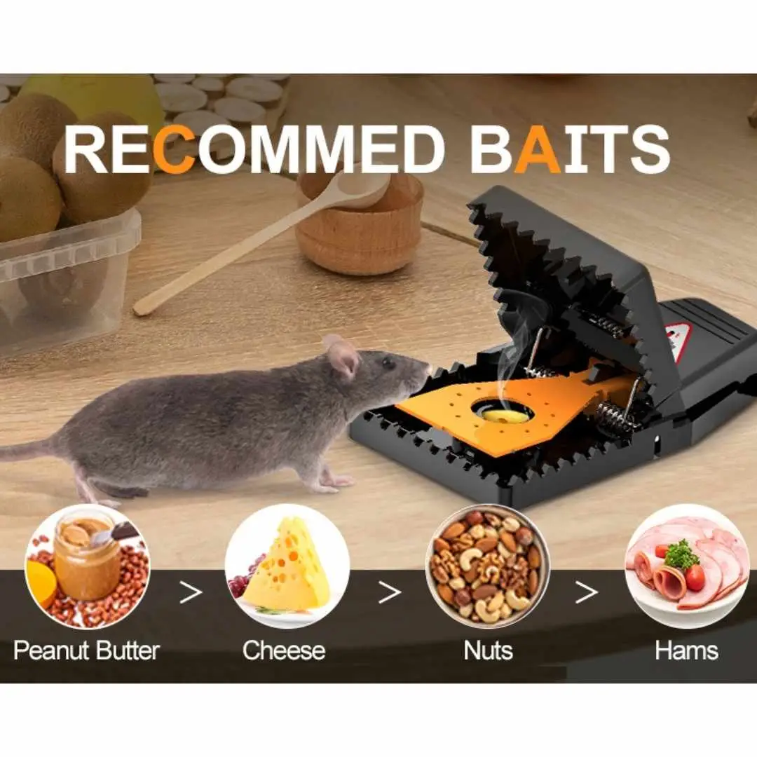 Mouse Trap | High-Quality Plastic Mice Catcher