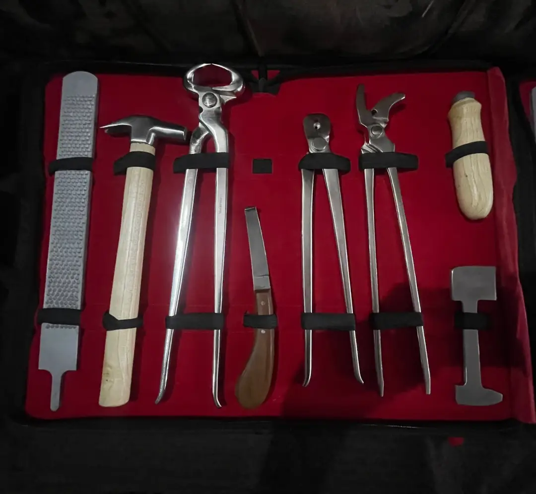 Equine Farrier Tool Kit | Hoof Tool Horse Care Trim